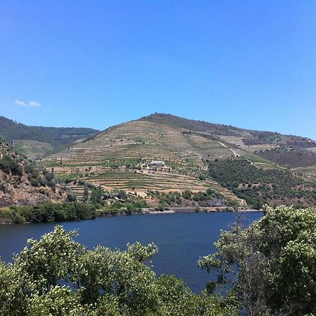 Quinta Da Marka Vila Covas do Douro Exterior foto