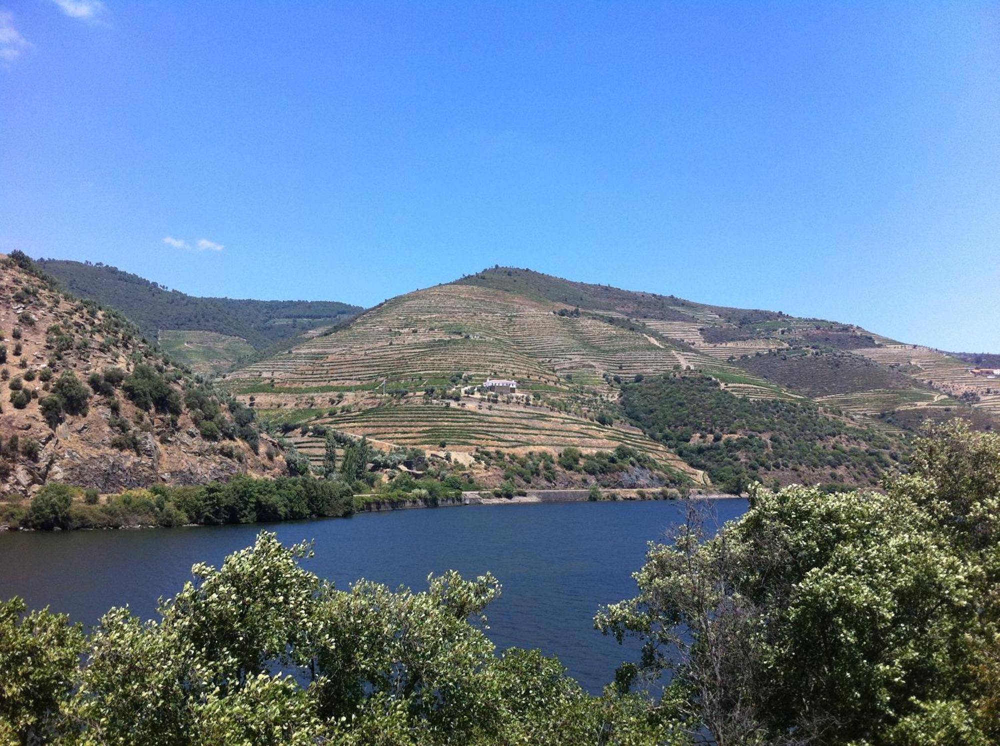 Quinta Da Marka Vila Covas do Douro Exterior foto