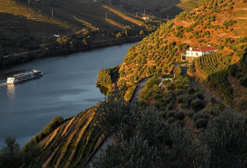 Quinta Da Marka Vila Covas do Douro Exterior foto